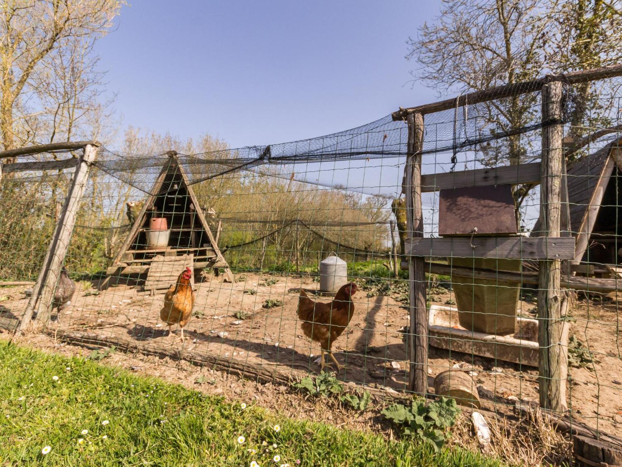 Villa Gite Champetre Renove Avec Terrasse & Equipements, Proche Pornic - Animaux Acceptes - Fr-1-306-1027 Frossay Exterior foto